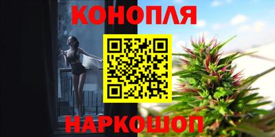 гидра Пыть-Ях